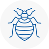 Bed Bug Extermination In Cranleigh